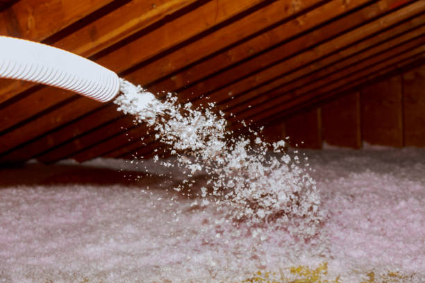 Best Cellulose Insulation  in Clemmons, NC