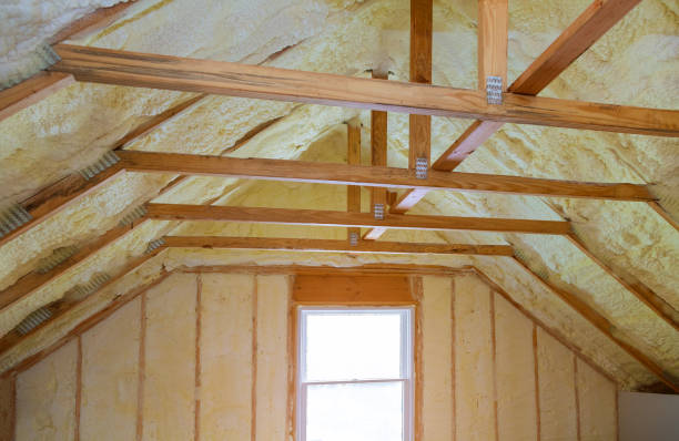 Best Professional Insulation Contractor  in Clemmons, NC