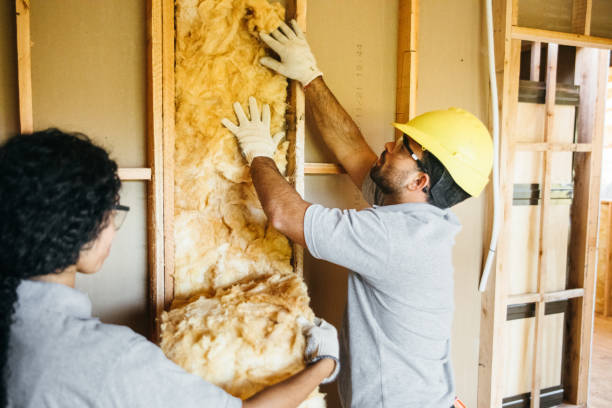 Insulation Repair Services in Clemmons, NC