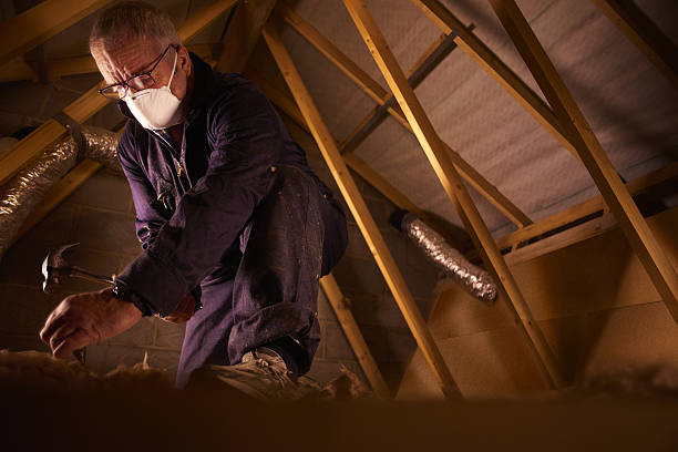 Best Cellulose Insulation  in Clemmons, NC