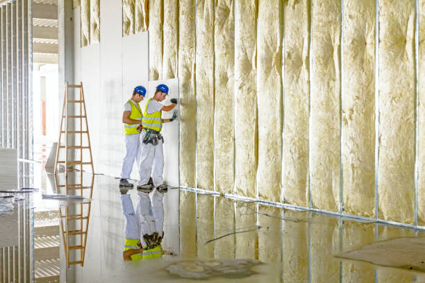 Best Fiberglass Insulation  in Clemmons, NC